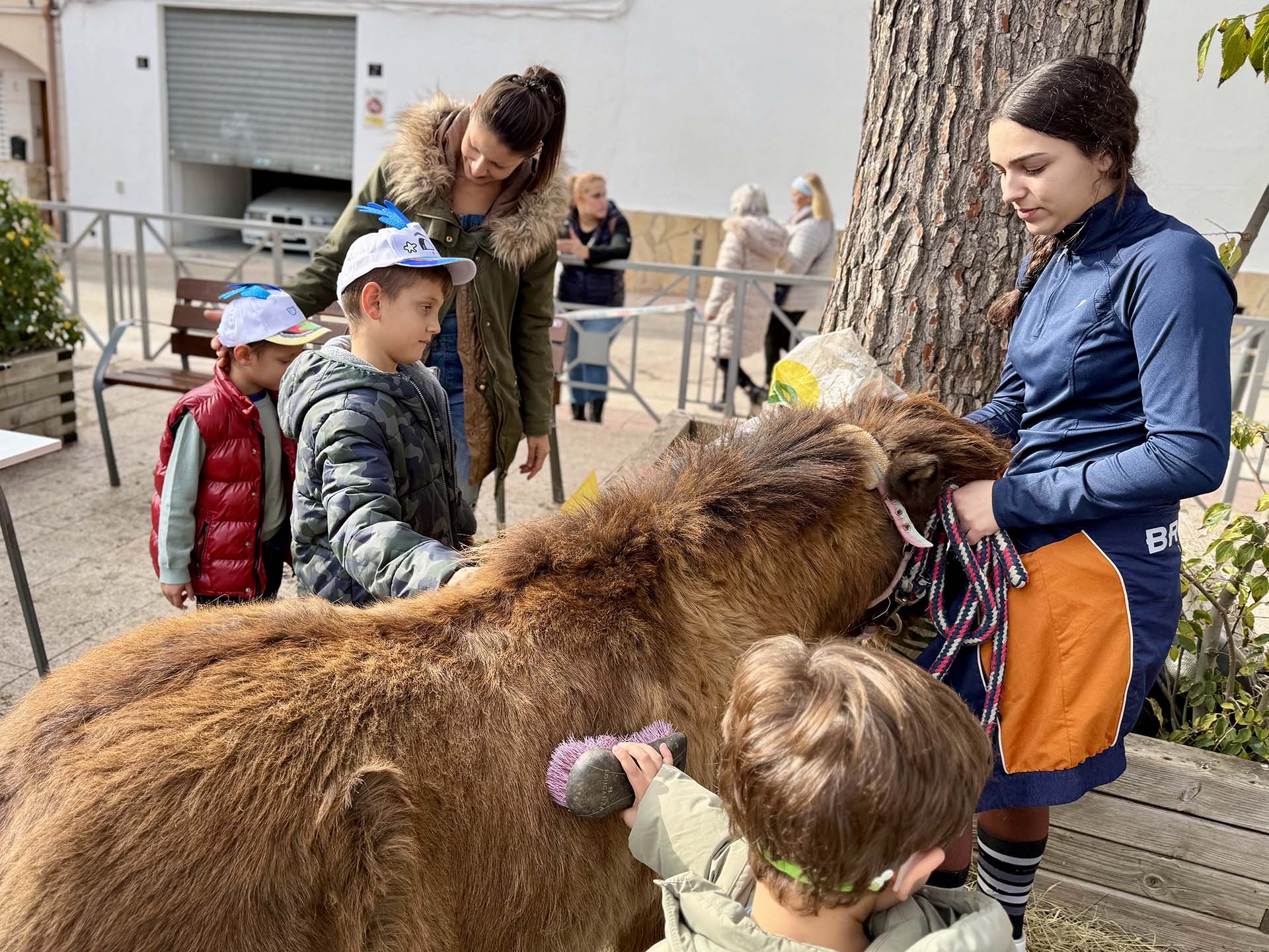 Actes per La Marató de 3Cat Actes per La Marató de 3Cat