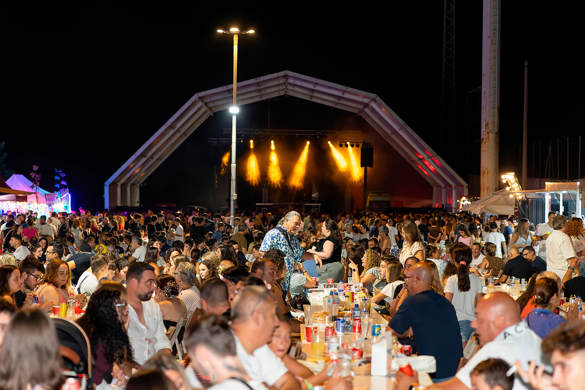 El Ple aprova la creació del Consell Municipal de Festes