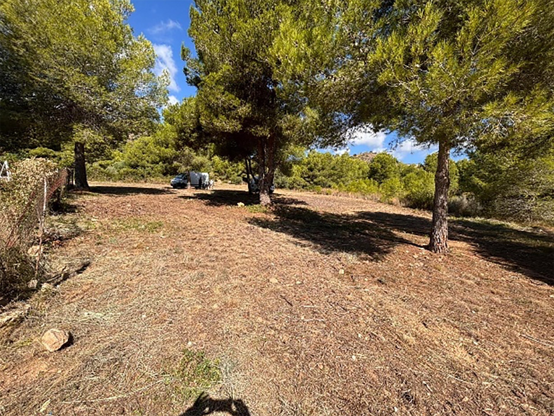 Neteja de franges vegetals i de parcel·les forestals