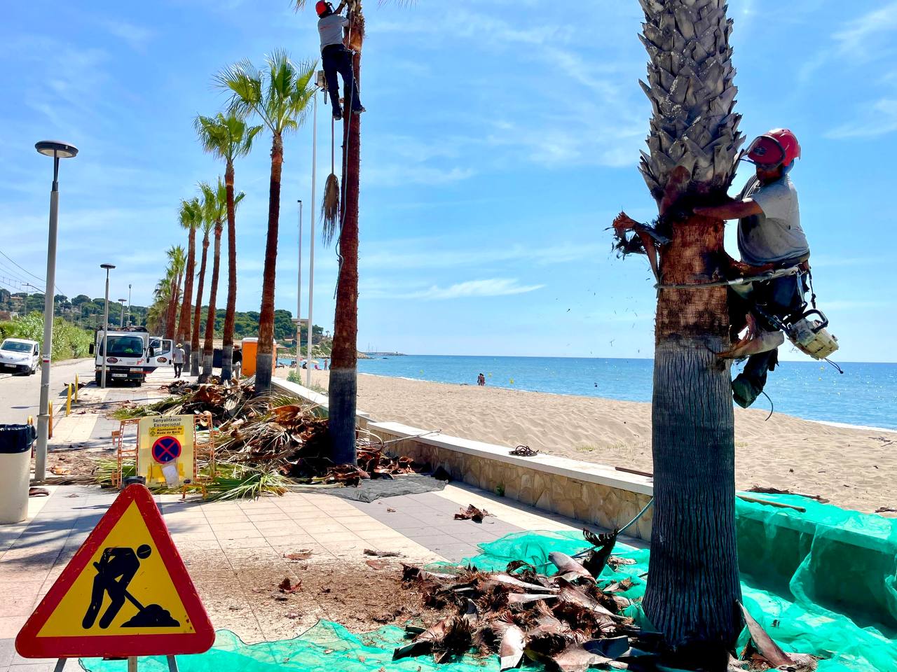 Sistema Dinàmic d’Adquisició per al manteniment de zones verdes