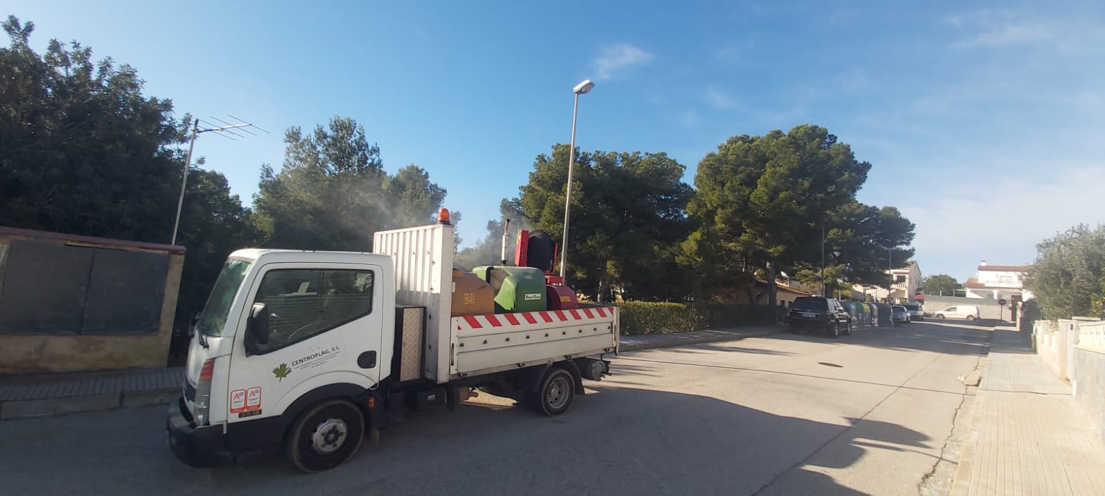 Lluitar contra la presència de la processionària del pi