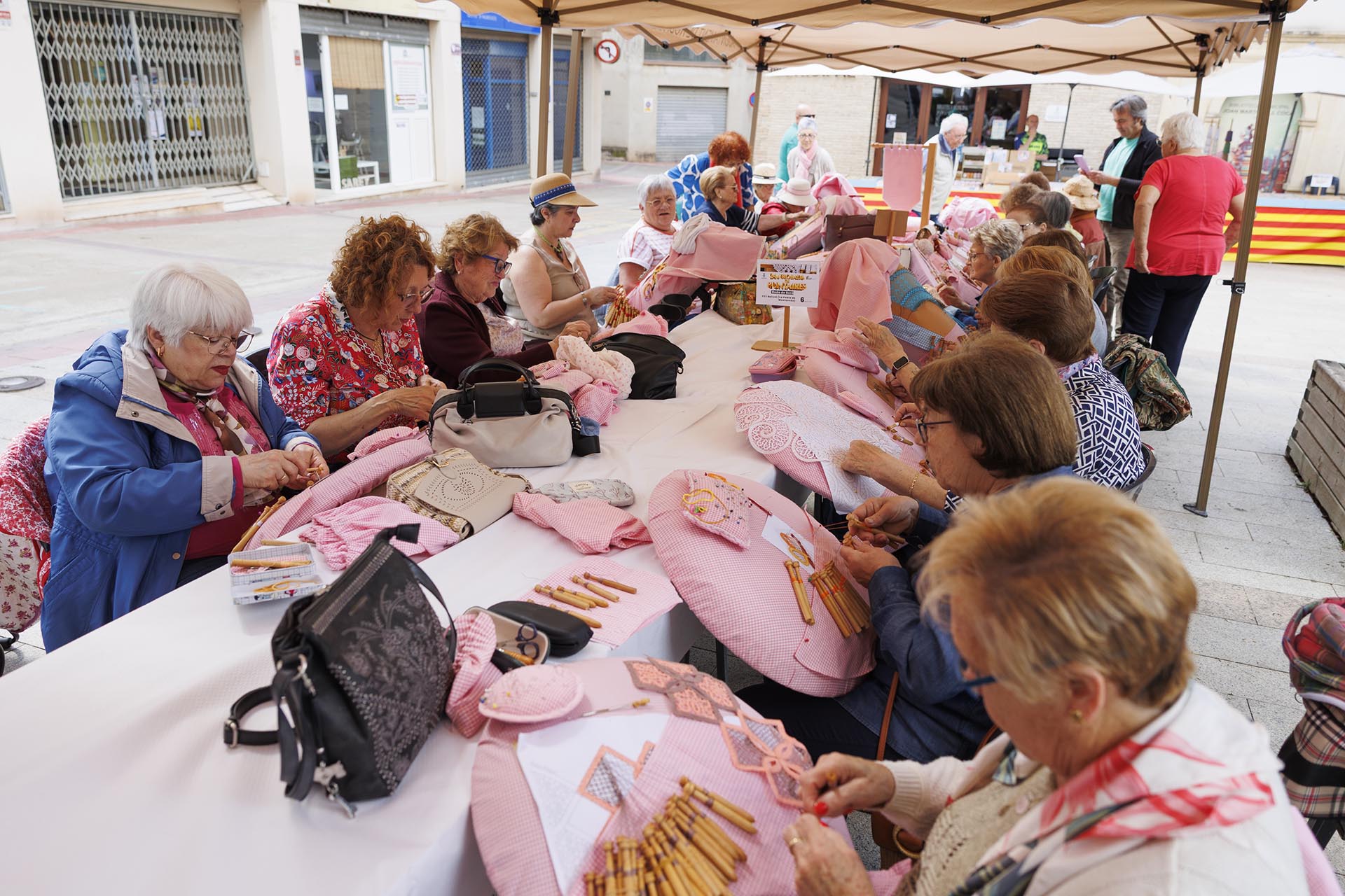 24a Trobada de Puntaires